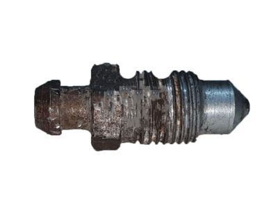 GM 13304908 Valve, Rear Brake Bleeder