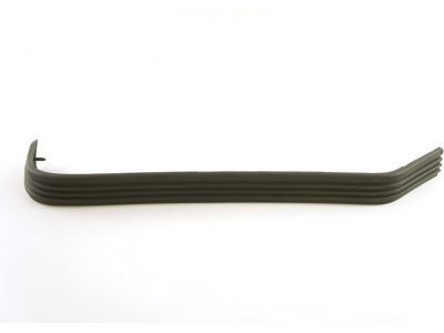 GM 15574116 Impact Strip