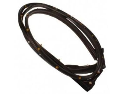 GM 25977402 Door Weatherstrip