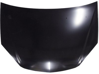 GM 15801208 Hood