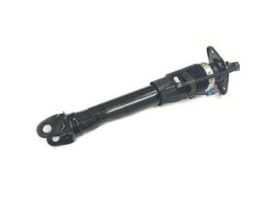 GM 19302779 Shock Absorber