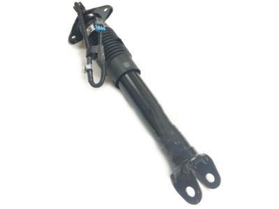 GM 19302779 Shock Absorber