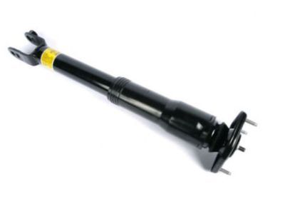 GM 20951602 Shock