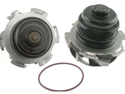 GM 19210509 Water Pump Assembly