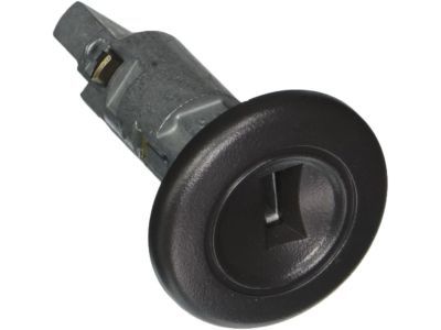 GM 15298923 Cylinder & Keys