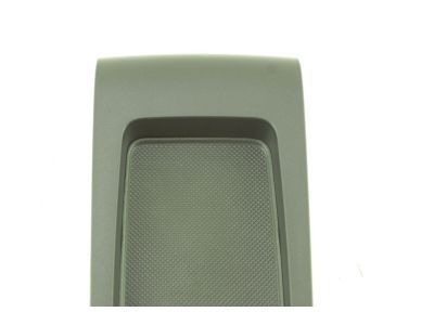 GM 15134814 Latch Cover