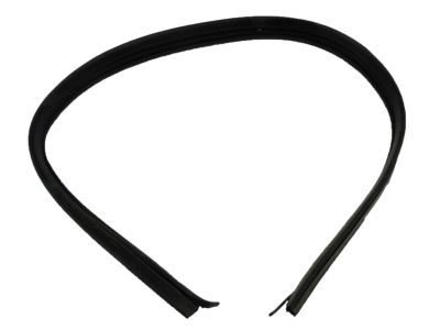 GM 15983928 Weatherstrip