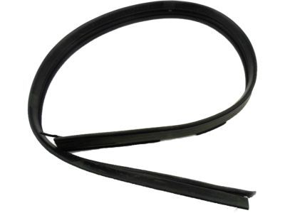 GM 15983928 Weatherstrip