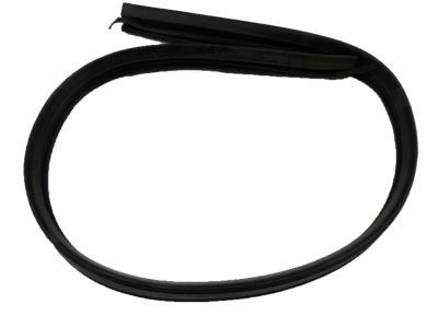 GM 15983928 Weatherstrip