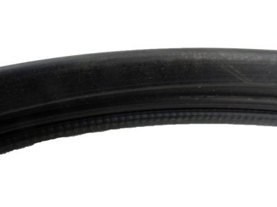 GM 15983928 Weatherstrip