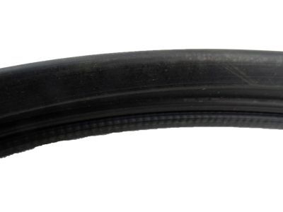 GM 15983928 Weatherstrip