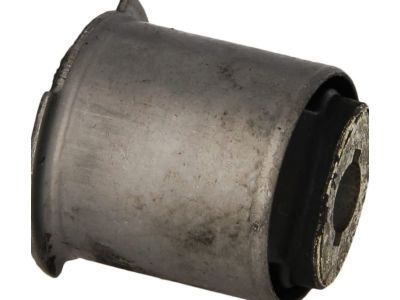 GM 89058605 Carrier Housing Bushing