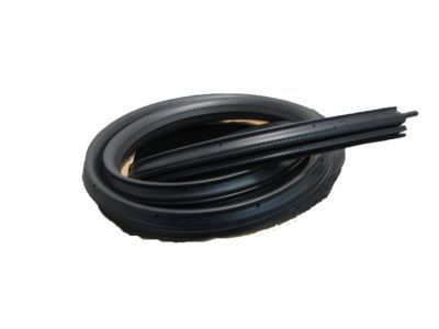 GM 22766379 Surround Weatherstrip