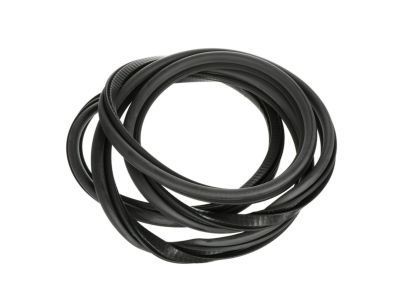 GM 15161704 Door Weatherstrip