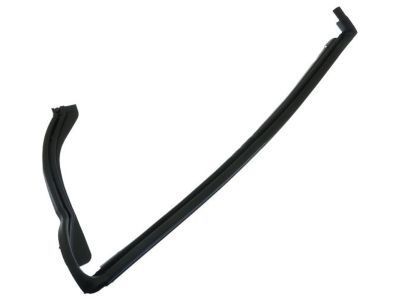 GM 25775643 Rear Weatherstrip