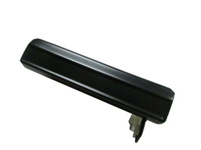 GM 15969377 Handle, Front Side Door Outside