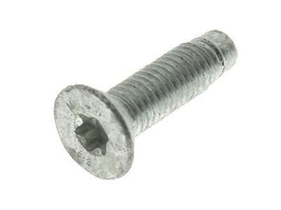 GM 11518445 Striker Screw