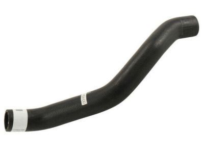 GM 25822191 Upper Hose