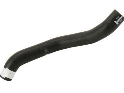 GM 25822191 Upper Hose