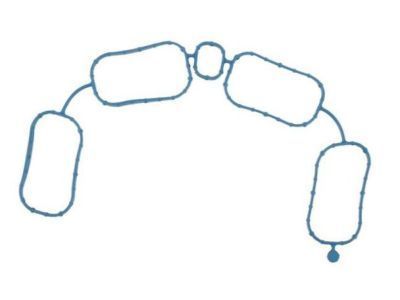 GM 12655276 Manifold Gasket