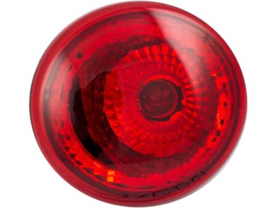GM 15821824 Tail Lamp Assembly