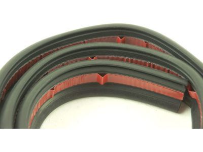 GM 15113133 Drip Weatherstrip