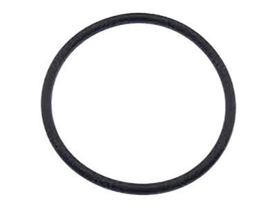 GM 19121496 Outlet Duct Seal