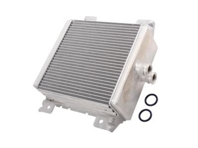 GM 12604853 Cooler