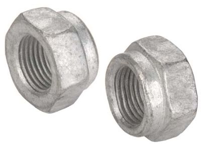 GM 10256363 Shaft Assembly Nut