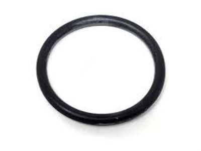 GM 12625100 Filler Tube Seal