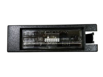 GM 13251936 License Lamp