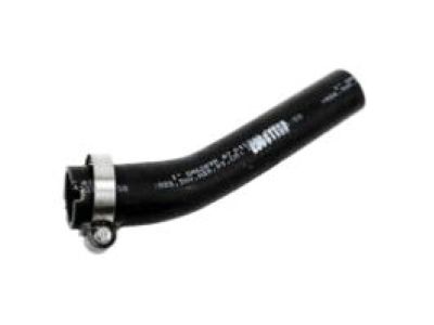 GM 15842789 Filler Hose