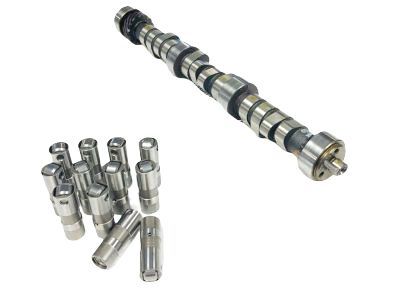 GM 10241691 Camshaft