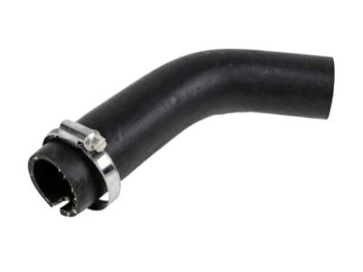 GM 25802833 Filler Hose