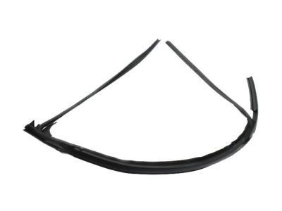 GM 15853015 Run Channel