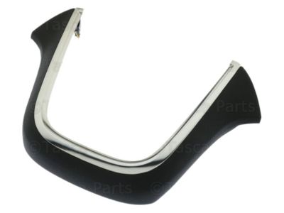 GM 95107196 Center Molding