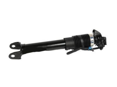 GM 19302791 Shock Absorber