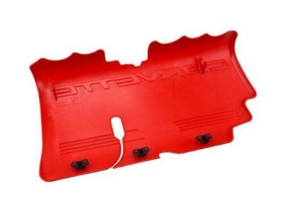 GM 12564257 Cover Asm-Fuel Injection Fuel Rail (LH Red Sight Shield)