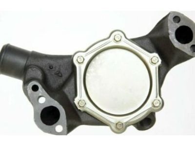 GM 19417097 Water Pump Assembly
