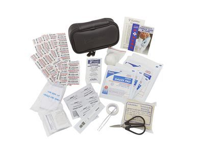 GM 84217916 First Aid Kit with Cadillac Logo