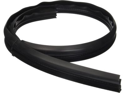 GM 10410004 Weatherstrip-Front Side Door Auxiliary <Use 1C5K*Neutral