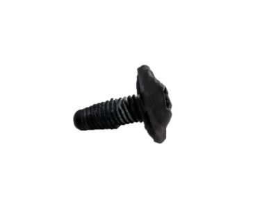 GM 11570218 Molding Nut