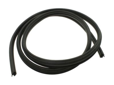 GM 19168173 Surround Weatherstrip