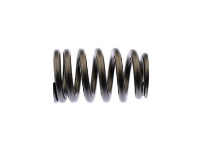 GM 12706568 Valve Springs