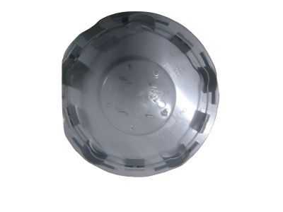 GM 89060308 Center Cap