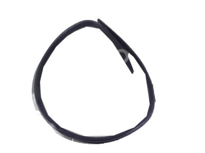 GM 95158823 Door Weatherstrip
