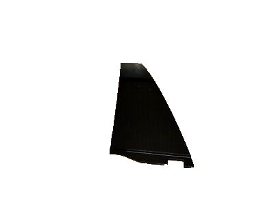 GM 15199293 Body Side Molding