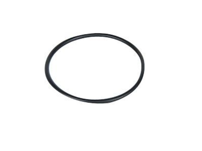 GM 15787976 Master Cylinder Seal