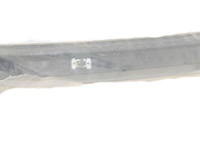 GM 22669322 Weatherstrip Pillar Trim