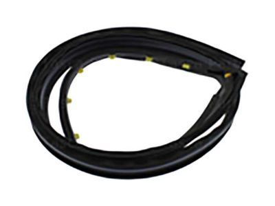 GM 20816088 Drip Weatherstrip